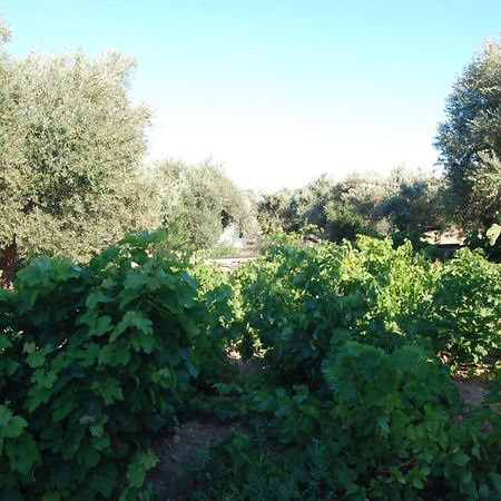 Villa Perivoli Platis Gialos  Esterno foto