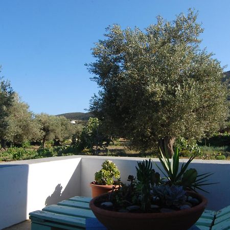 Villa Perivoli Platis Gialos  Esterno foto