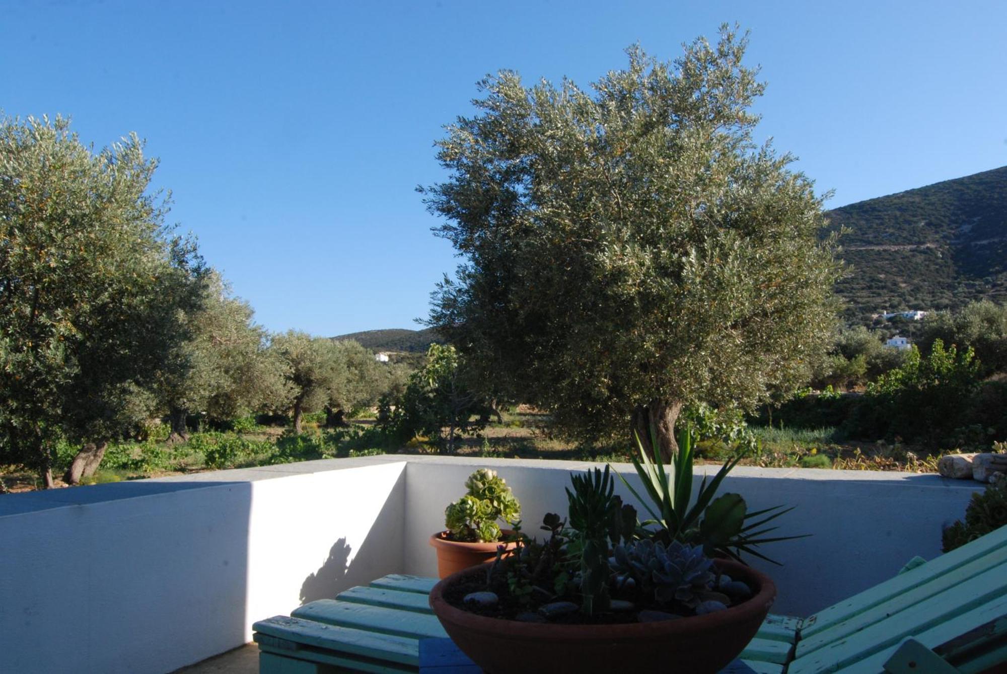 Villa Perivoli Platis Gialos  Esterno foto