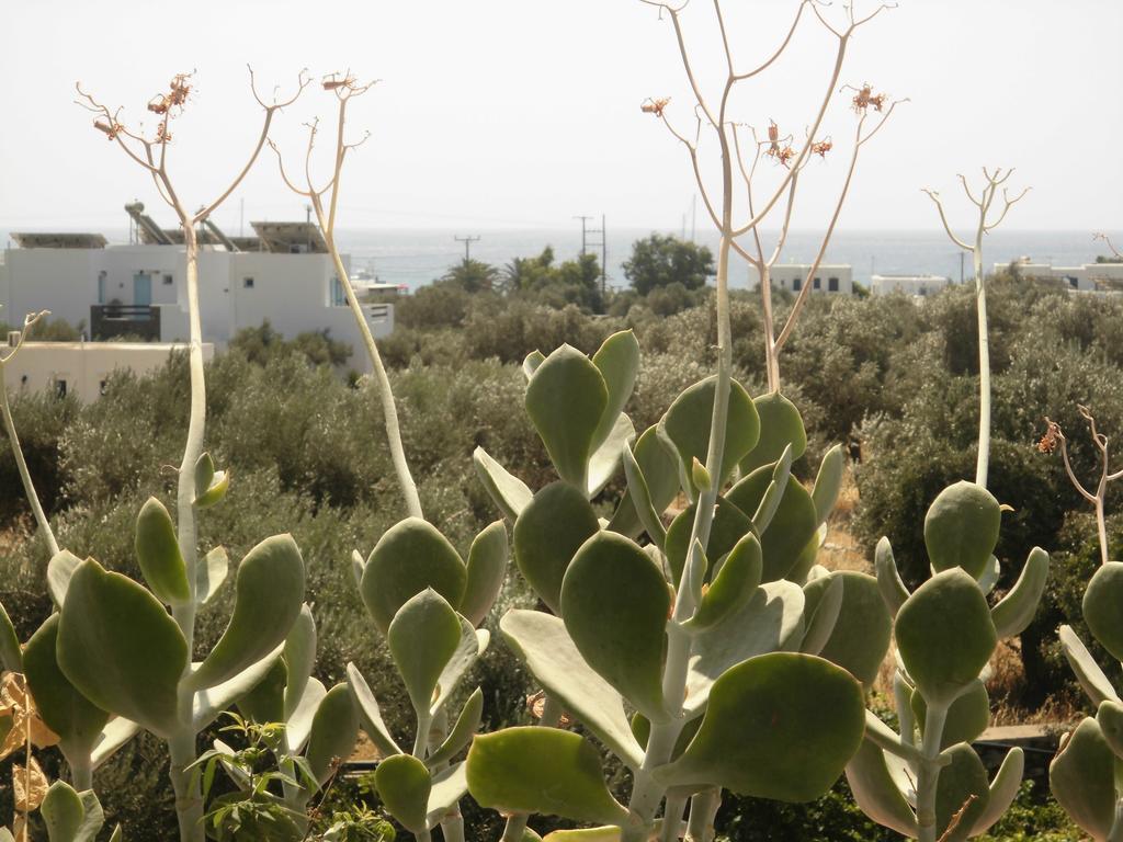 Villa Perivoli Platis Gialos  Esterno foto